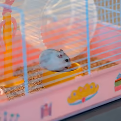 Ferplast Criceti 9 Princess Hamster Rose, Blanc - Vue supplémentaire 5