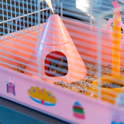 Ferplast Criceti 9 Princess Hamster Rose, Blanc - Vue supplémentaire 6