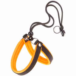 Harnais pour chiens contemporains aux couleurs fluo ! Disponibles en plusieurs tailles, les harnais Agila Fluo s'adaptent à t ...