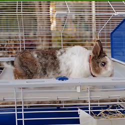 Ferplast Barn 100 Rabit Taupe, Blanc - Vue supplémentaire 2
