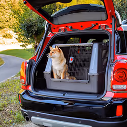 Ferplast Atlas Car Scenic Caisse de transport voiture