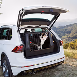 Ferplast Atlas Car Scenic Caisse de transport voiture
