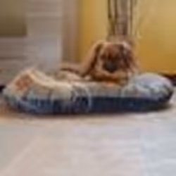Ferplast Coussin pour chien et chat Stuart 89/10 bleu