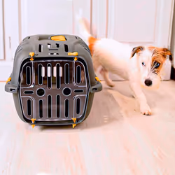 Ferplast Jet Caisse de transport pour animaux de compagnie