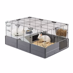 Ferplast Multipla Cochon d'inde, Rabit Gris
