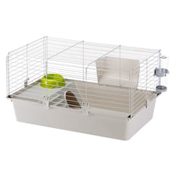 Ferplast Cavie Cochon d'inde Gris, Blanc