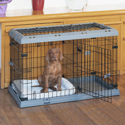 Ferplast Superior Caisse de transport pour animaux de compagnie