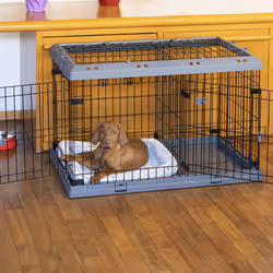 Ferplast Superior Caisse de transport pour animaux de compagnie