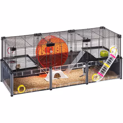 Description générale La cage pour hamsters et souris Multipla Hamster Large de Ferplast est un habitat spacieux et personnali ...