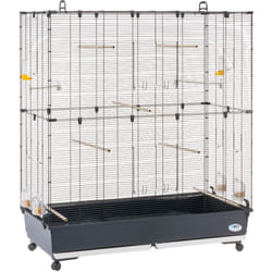 Ferplast - planeta large Volière Cage à Oiseaux planeta large : Spacieuse cage métallique avec accessoires, idéale pour canaris, perruches et