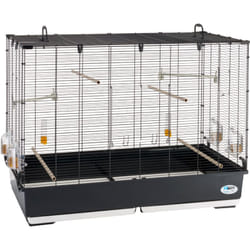 Piano 7 Volière Cage à Oiseaux piano 7 : Cage en métal avec accessoires pour oiseaux.. Variante piano 7 - Misure: 99.5 x 53 x h 74 cm - - Ferplast
