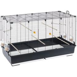 Ferplast - piano 8 Volière Cage à Oiseaux piano 8 : Grande cage avec accessoires pour canaris, perruches, pinsons.. Variante piano 8 - Misure: 118 x
