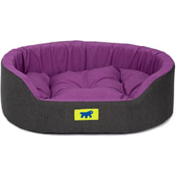 Dandy colours Lit d'intérieur pour chien et chat, en coton avec coussin amovible dandy. Variante 55 - Misure: 55 x 41 x h 15 cm - Violette - Ferplast