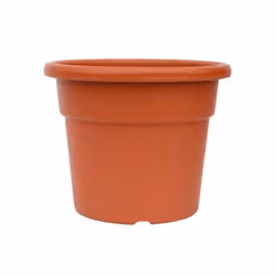 Pot classique. - Fabriqué en plastique. - Couleur terre cuite. - Avec des trous dans la base. - Dimensions (diamètre x hauteu ...