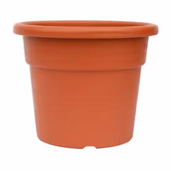 Pot de fleurs classique Saturnia. - Conçu en plastique. - Couleur terracotta. - Avec des trous dans la base. - Dimensions, di ...
