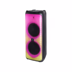 Trevi XF 4100 PRO, 30,5 cm (12"), 300 W, 55 - 20000 Hz, 80 dB, Avec fil &sans fil, USB Type-A