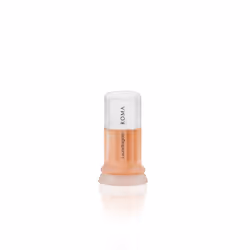Laura Biagiotti Roma, Femmes, 25 ml, Flacon non réutilisable, Bergamote, Menthe, Carnation, Jasmin, Rose, Tubéreuse, Ambre, M ...