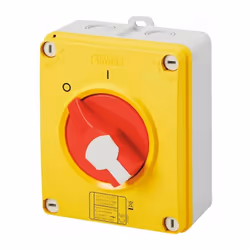 Description générale Interrupteur-sectionneur rotatif HP en plastique pour coupure d'urgence, avec poignée rouge cadenassable ...