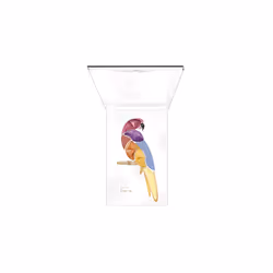 PUPA Milano Pupa Parrot