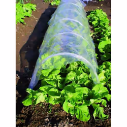 Serres tunnel Blinky Structure PVC Epaisseur 0,8 mm Idéal pour la protection hivernale des plantes et fleurs Dimension 500x45 ...