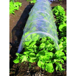 Blinky - Serres Tunnel Pvc Cm 500X45H