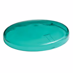 Filtre vert pour les lampes Duralamp. Compatible avec les lampes LED PAR 38. Changez l'apparence d'une pièce en ajoutant des  ...