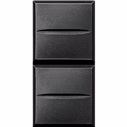 Double poussoir Axolute NO/NO 10A 250V Connexion auto Anthracite 1 mod. BTICINO HS4036 Caractéristiques générales Axolute - c ...