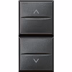 Pulsante doppio 1P NO + 1P NO 10A - 250 Vac interbloccato - antracite Axolute HS4037. Bouton double 1P NO + 1P NO 10A - 250 V ...