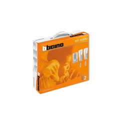 BTICINO 368121 Kit audio 2 fils Adapté pour maison bi-familiale Composé d'une platine de commande murale LINEA 2000 METAL et ...