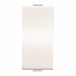 False module Abb Chiara 1 module de couleur blanc. Également appelé faux pôle ou bouchon, il est utilisé pour remplir les esp ...