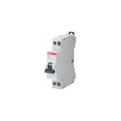 ABB - Disjoncteur SN201 2P, 4A, montage rail din ( Prix pour 1 )