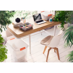 KIS K Latch Box, Boîte de rangement, Orange, Transparent, Rectangulaire, Monochromatique, Universel, Transparent