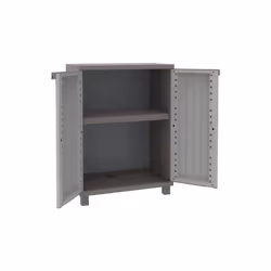 Terry Cwood Armoire all-plan en polypropyle'ne avec 2 portes effet bois cm68x39xh91,5 pour l'exte'rieur
