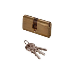 Cylindre ovale de sA curitA Cisa 08210.02 A insA rer 56 mm avec 3 clA s