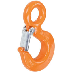 Beta - Robur 8052 Crochet de levage fixe 800 Kg.