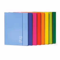 Brefiocart 0208805FX, Envelope folder, A4+, Carton, Fuchsia, Paysage/portrait, Elastique