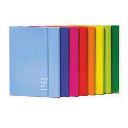 Brefiocart 0208805AZ fichier Carton Bleu A4+