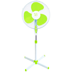 Fraschetti 496046 ventilateur Vert, Blanc