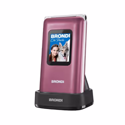 Brondi Amico Preziozo Violet