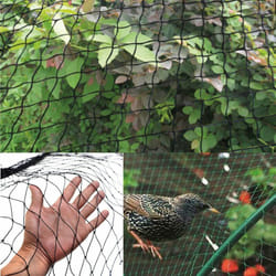 Green - Réseau pour la protection des plantes contre les oiseaux défen 10 ml.