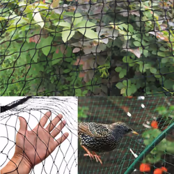 Network en nylon pour la protection des plantes contre les oiseaux chemise: 10x12 mm.