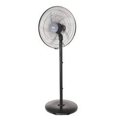 Bimar VP165 ventilateur Noir