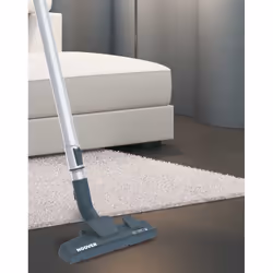 Hoover Xarion Pro XP81_XP15011 1,5 L Aspirateur réservoir cylindrique Sec 800 W Sans sac