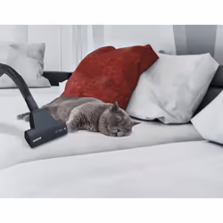 Hoover Breeze BR32PET 011 2 L Aspirateur réservoir cylindrique Sec 550 W Sans sac - Vue supplémentaire 5