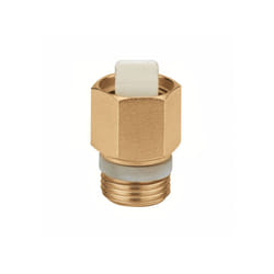 Clapet d'Isolement pour purgeur R2 3/8" (12/17) - Thermador
