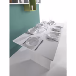 Terraneo EL530, Forme rectangulaire, Table extensible, Blanc, PVC, Maison, 2 pieds