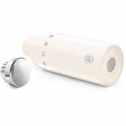 Smeg WBF01CR gourde Utilisation quotidienne 500 ml Acier inoxydable Crème - Vue supplémentaire 2