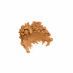 Diego dalla Palma Transparent Powder poudre de visage 22 g 102