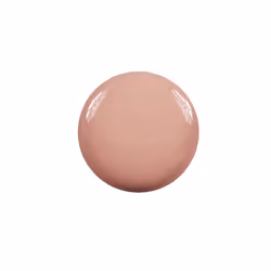 Diego dalla Palma Gli Iconici vernis à ongles 14 ml Beige