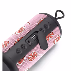 Music Sound BTSPKMSVERTICAL242 haut-parleur portable et de fête Enceinte portable mono Rose 5 W
